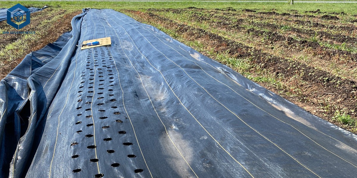 Geweven polypropyleen geotextiel voor bestratingsondersteuning Geweven polypropyleen geotextiel voor bestratingsondersteuning