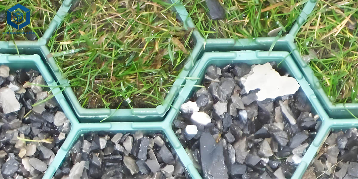 Car Parking Mesh for Grass