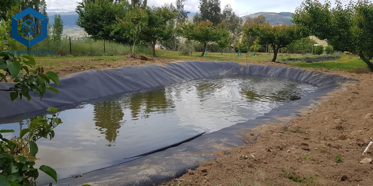 Best Pond Liner for Water Storage