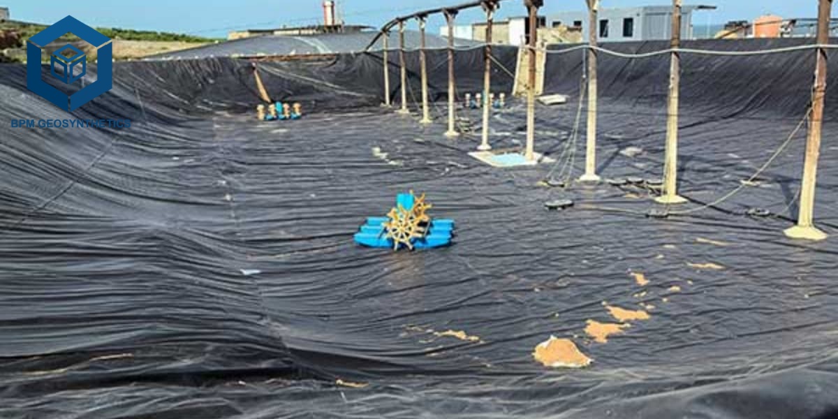 PVC-Geomembran für Wasserrückhaltung in der Aquakultur